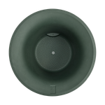 june tulip 40cm smaragdgroen